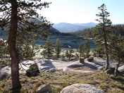 Yosemite National Park