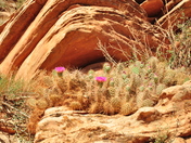 Grand Canyon National Park