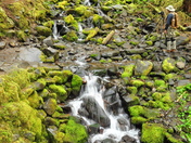 Olympic National Park