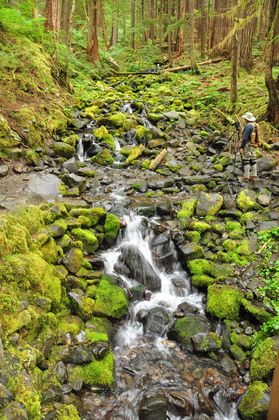 Olympic National Park