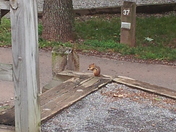 Seven Points/Raystown Lake