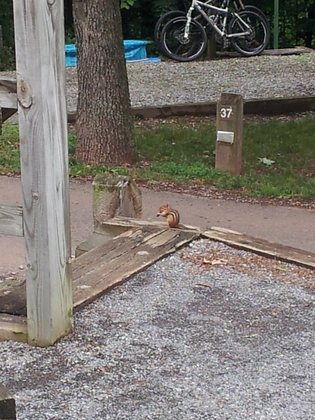Seven Points/Raystown Lake