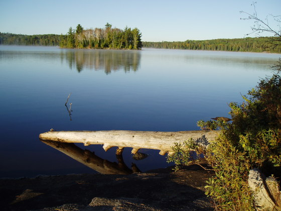BWCA