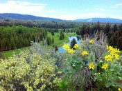 Grand Tetons