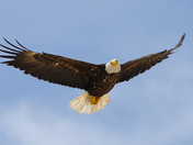 Assateague Island National Seashore
