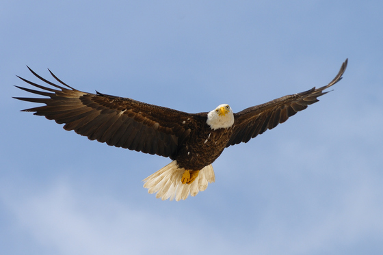 Assateague Island National Seashore