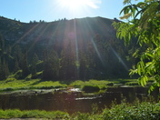Wasatch National Forest