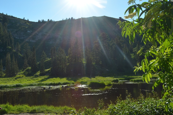 Wasatch National Forest