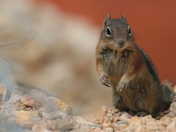 Bryce Canyon National Park