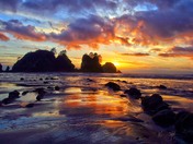 Olympic National Park