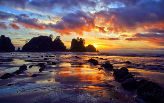 Olympic National Park