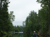 Superior National Forest