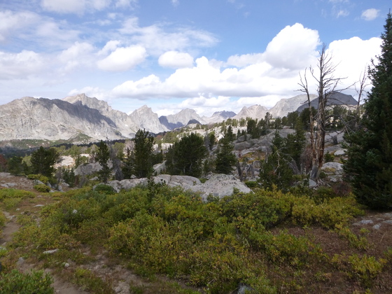Bridger Teton National Forest