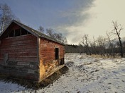 Old farm shed