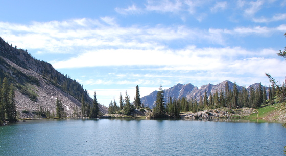 Wasatch National Forest