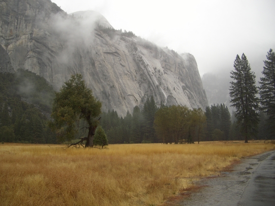 Yosemite 