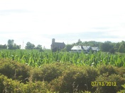 Pasteral scenery off Johnstown road