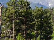 Rocky Mountain National Park
