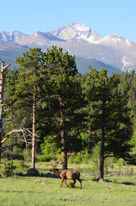 Rocky Mountain National Park