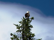 Anthony Lakes, OR