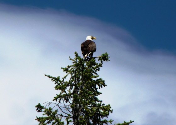 Anthony Lakes, OR