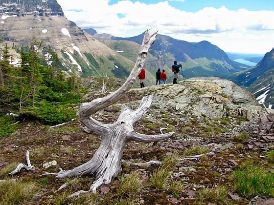 Glacier National Park