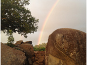 Gettysburg National Battlefield