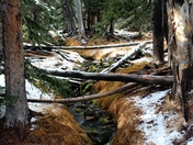 Great Basin National Park