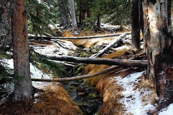 Great Basin National Park