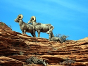 Zion National Park