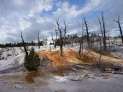 Yellowstone National Park