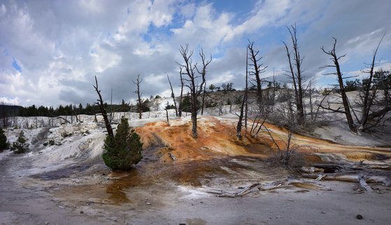 Yellowstone National Park