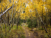 Rocky Mountain National Park