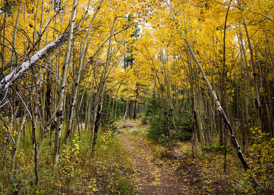 Rocky Mountain National Park