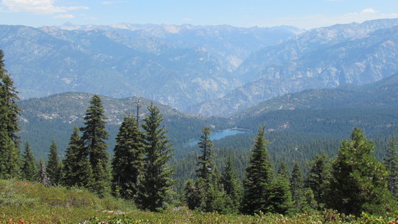 Kings Canyon National Park