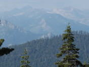 Kings Canyon National Park