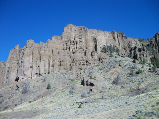 Shoshone National Forest