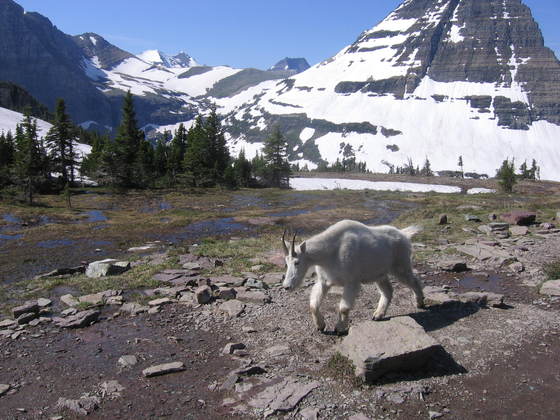 Glacier National Park