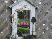 Reflection of flowering basket
