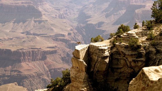 Grand Canyon NP - South Rim