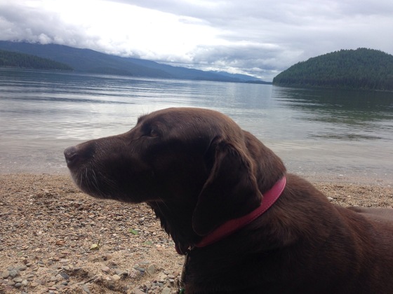 Reeder Bay - Priest Lake - Idaho Panhandle NF-FS
