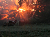 God Said ! Let there be light.