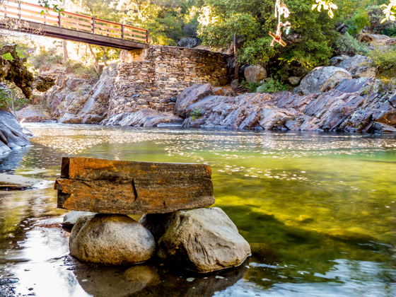 Sequoia National Forest