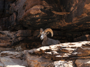 Grand Canyon National Park