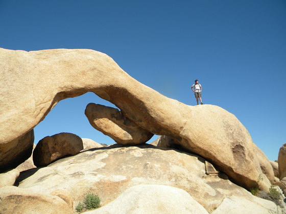 Joshua Tree National Park