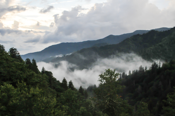 Great Smoky Mountain NP