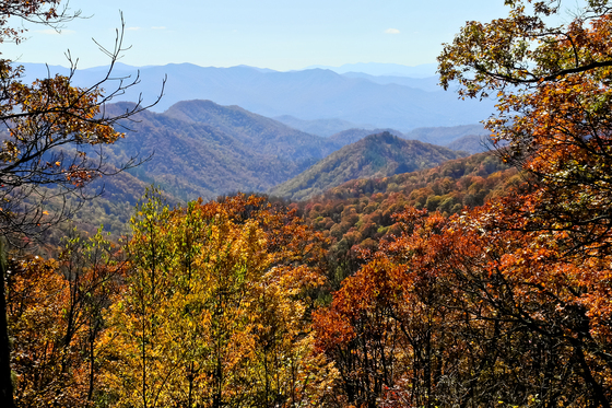 Smoky Mountain NP