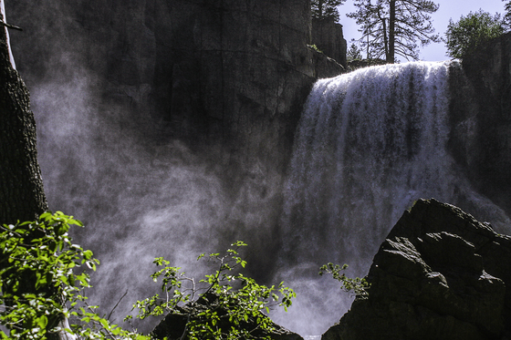 Inyo National Forest