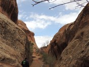Arches National Park