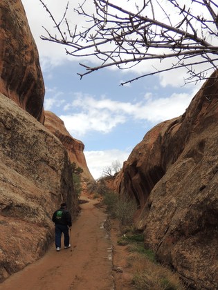 Arches National Park